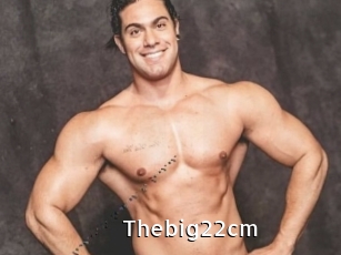 Thebig22cm