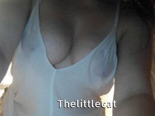 Thelittlecat