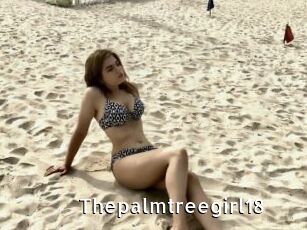 Thepalmtreegirl18