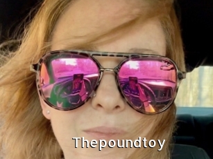 Thepoundtoy