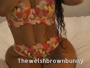 Thewelshbrownbunny