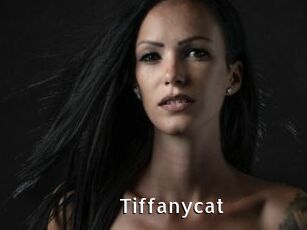 Tiffanycat