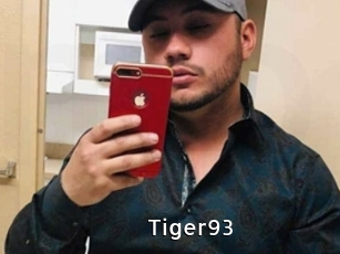 Tiger93