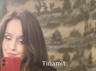 Tinamit