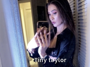 Tiny_taylor