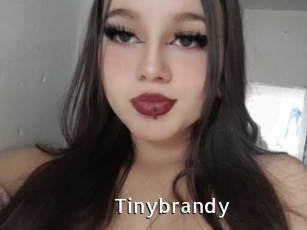 Tinybrandy