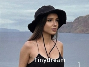 Tinydream