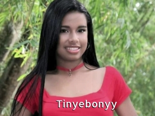 Tinyebonyy
