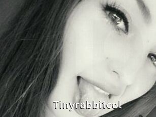 Tinyrabbitcol