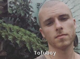 Tofu_boy