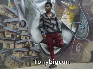 Tonybigcum