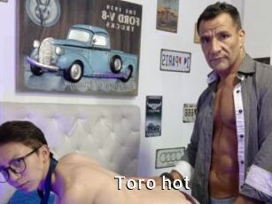 Toro_hot