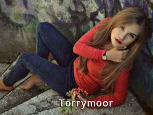 Torrymoor