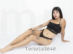 Tortoza3640