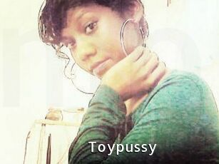 Toypussy