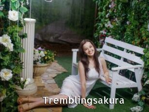 Tremblingsakura