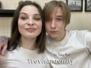 Trevisandemily