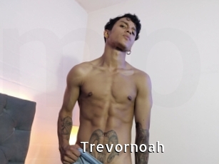 trevornoah My Porno Stash