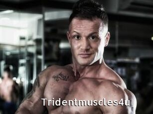 Tridentmuscles4u