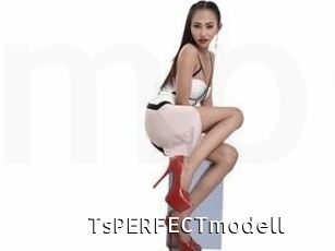TsPERFECTmodell