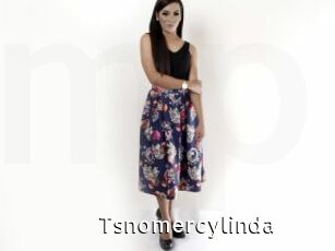 Tsnomercylinda