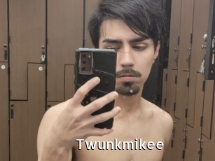 Twunkmikee