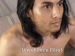 Uncut_Perv_Elliot