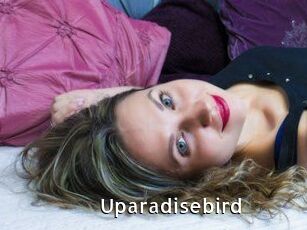 Uparadisebird