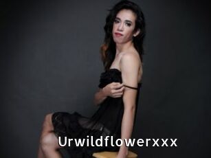 Urwildflowerxxx