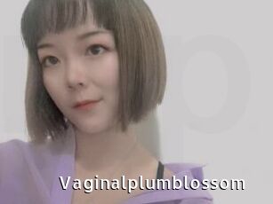 Vaginalplumblossom