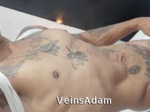 VeinsAdam