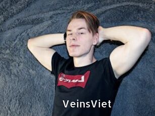 VeinsViet