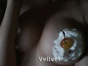 Vellvet
