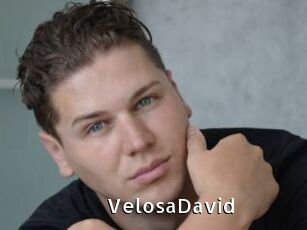 VelosaDavid