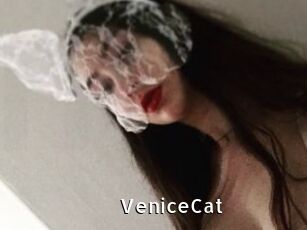 VeniceCat