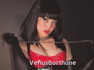 VenusBorthune