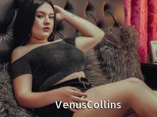 VenusCollins