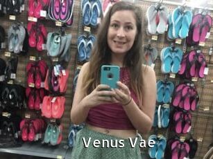 Venus_Vae