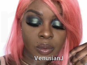 VenusianJ