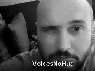 VoicesNoHue