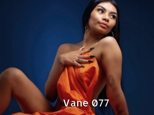Vane_077