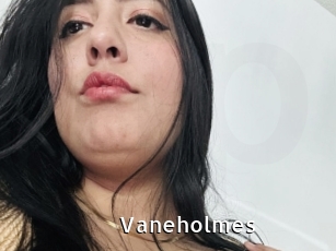Vaneholmes