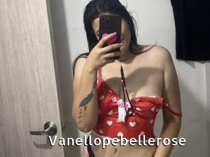 Vanellopebellerose