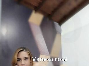 Vanesa_rose