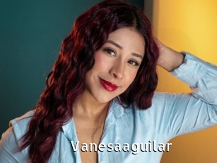 Vanesaaguilar