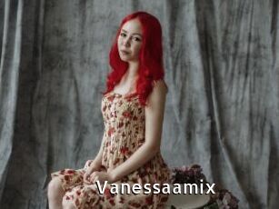 Vanessaamix