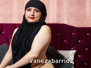 Vanezabarrioz