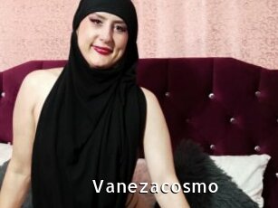 Vanezacosmo