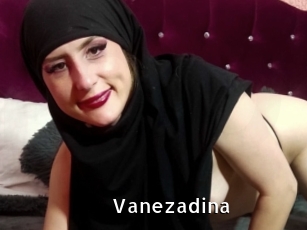 Vanezadina