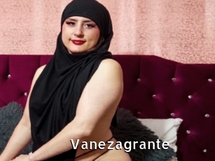 Vanezagrante